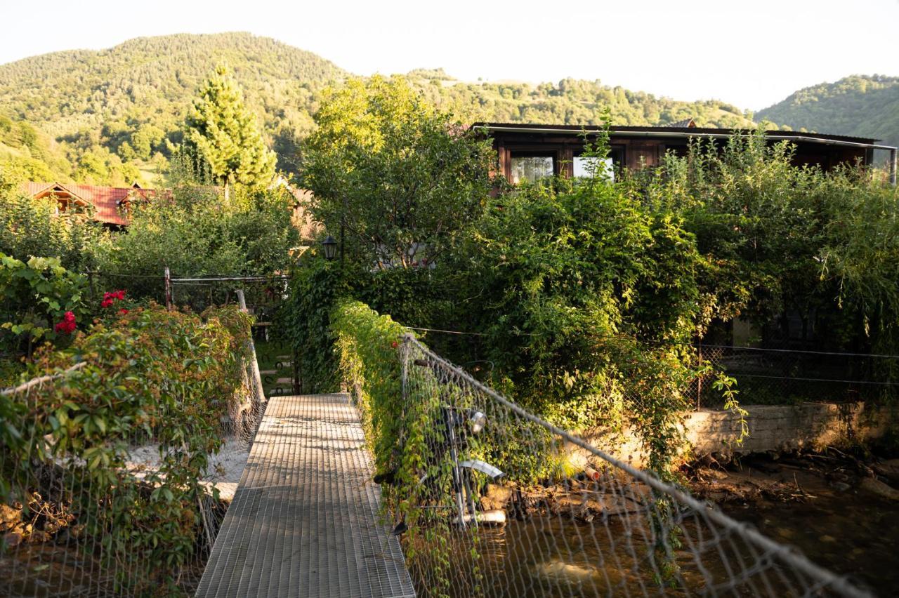 Casa De Vacanta Vidrighin Rau Sadului Экстерьер фото