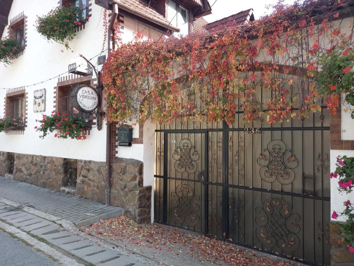 Casa De Vacanta Vidrighin Rau Sadului Экстерьер фото
