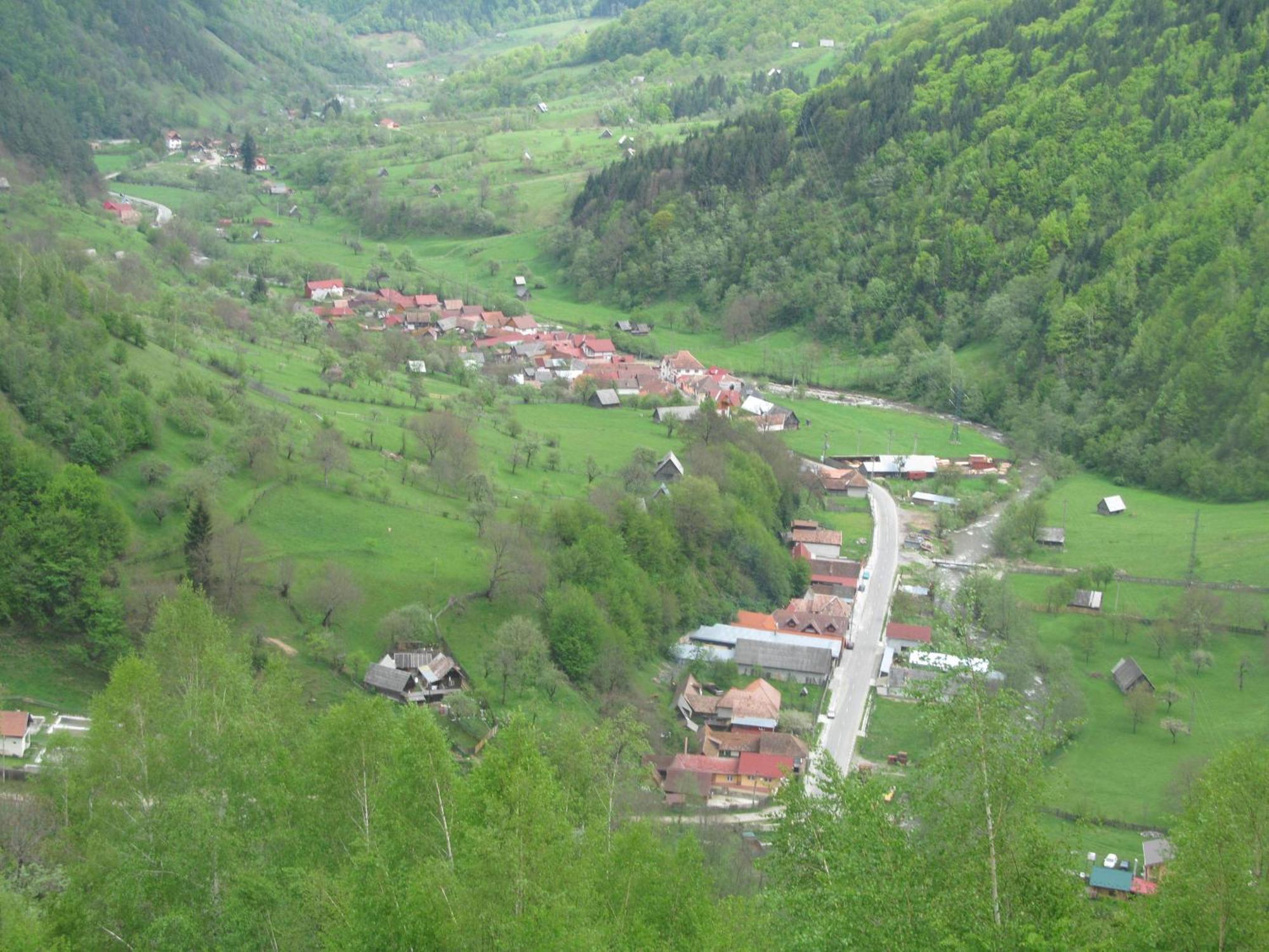 Casa De Vacanta Vidrighin Rau Sadului Экстерьер фото