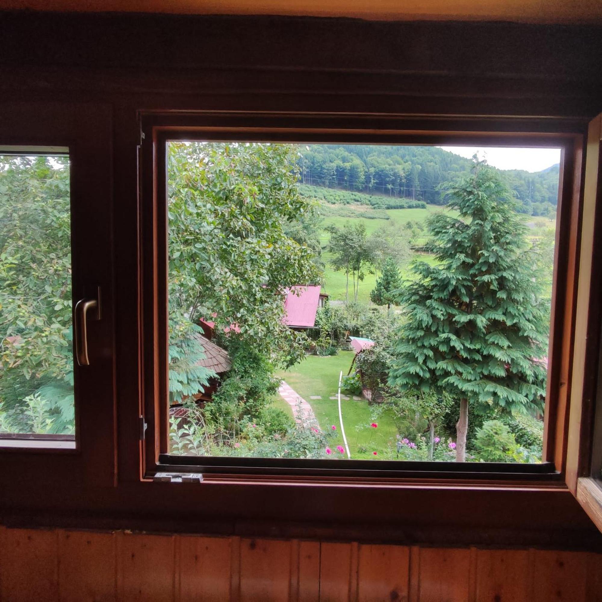 Casa De Vacanta Vidrighin Rau Sadului Номер фото