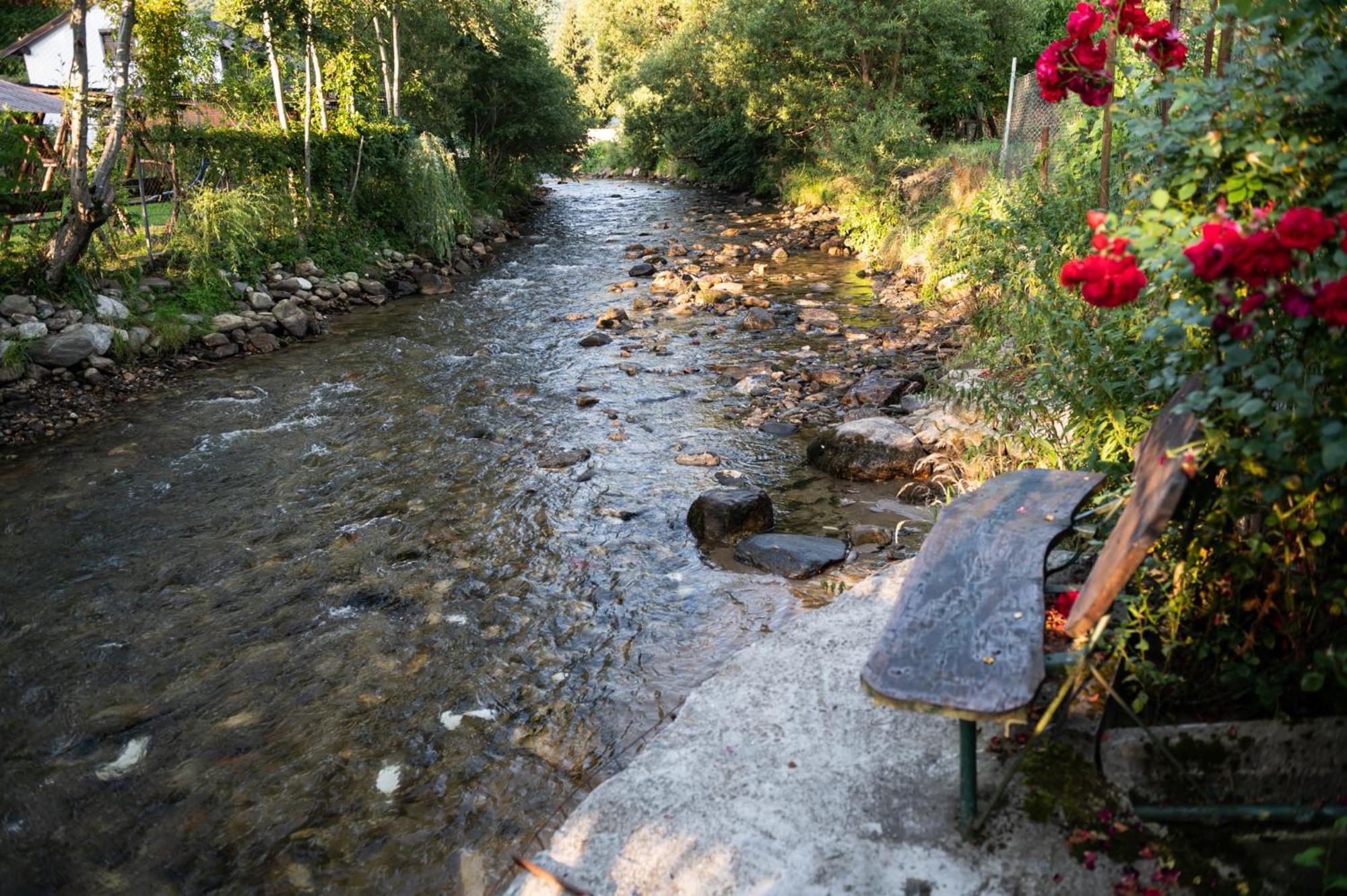 Casa De Vacanta Vidrighin Rau Sadului Номер фото