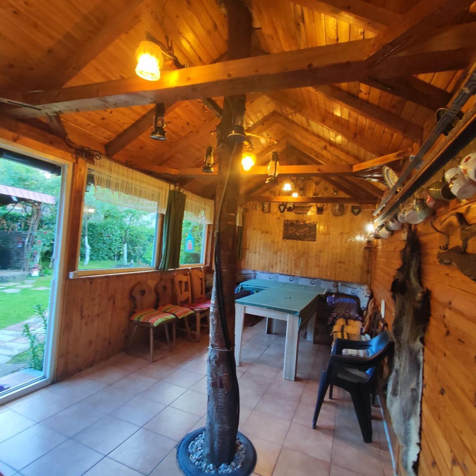 Casa De Vacanta Vidrighin Rau Sadului Номер фото