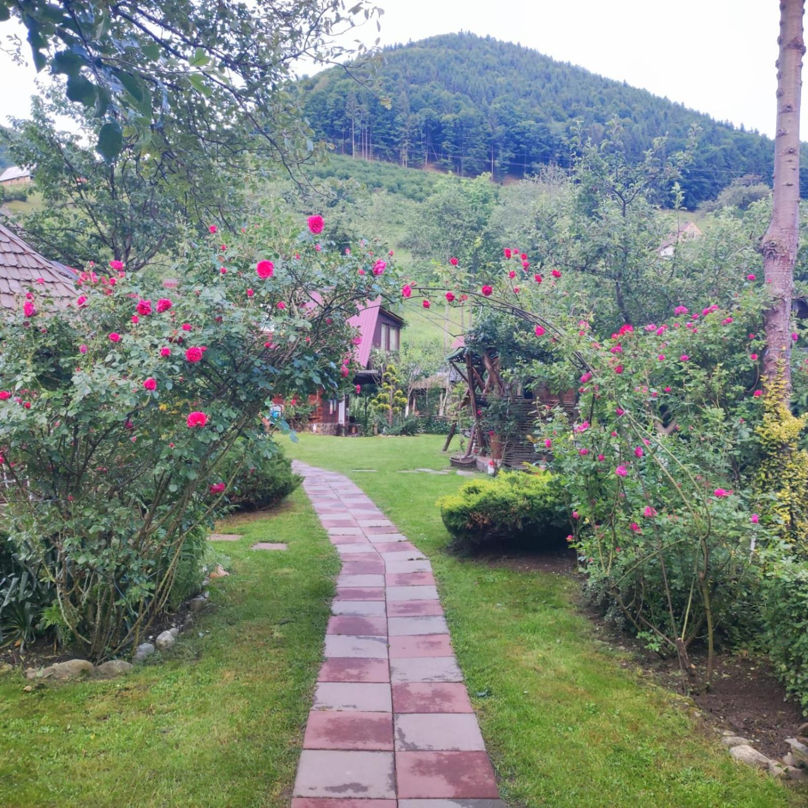 Casa De Vacanta Vidrighin Rau Sadului Номер фото