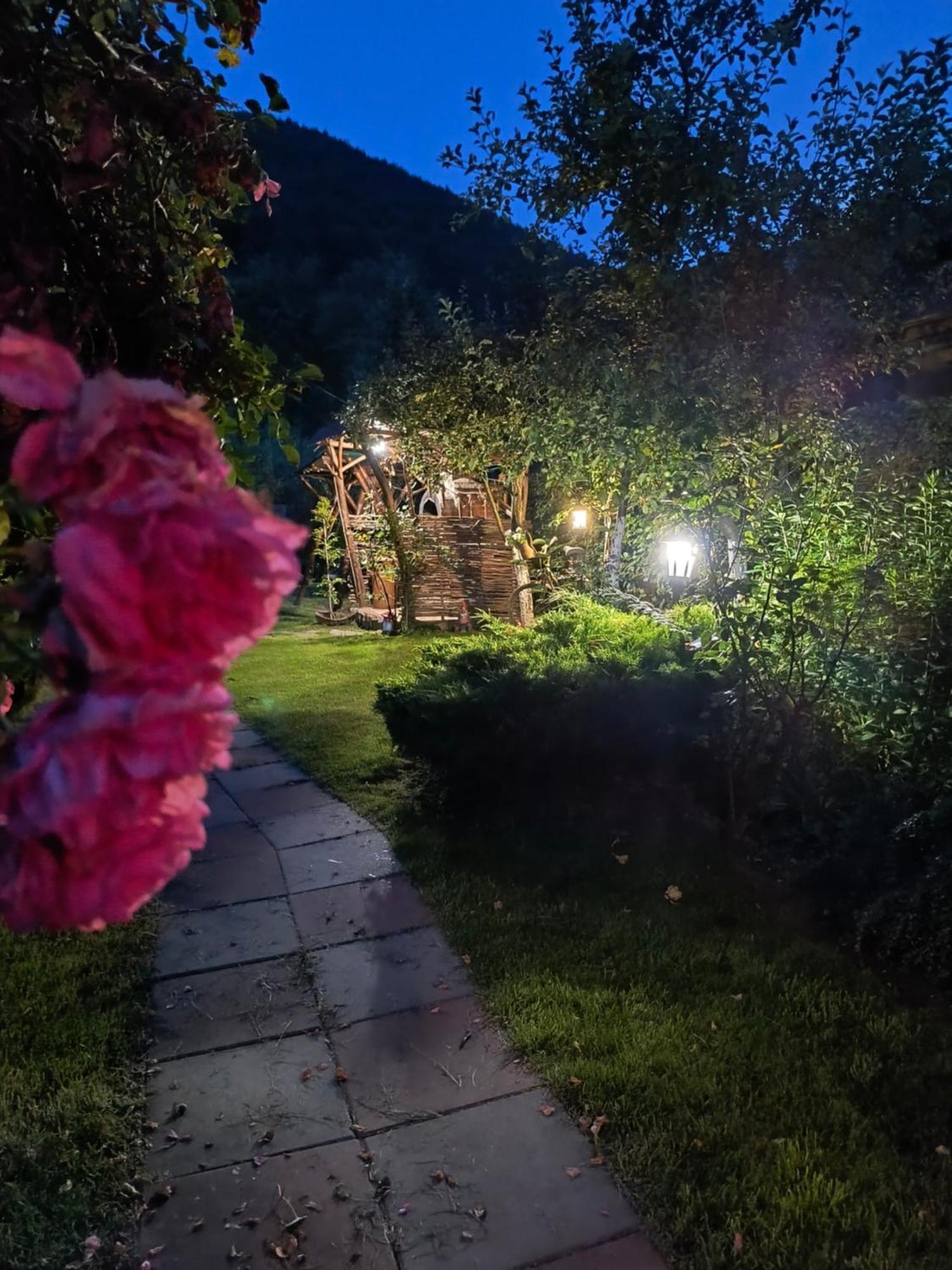 Casa De Vacanta Vidrighin Rau Sadului Номер фото