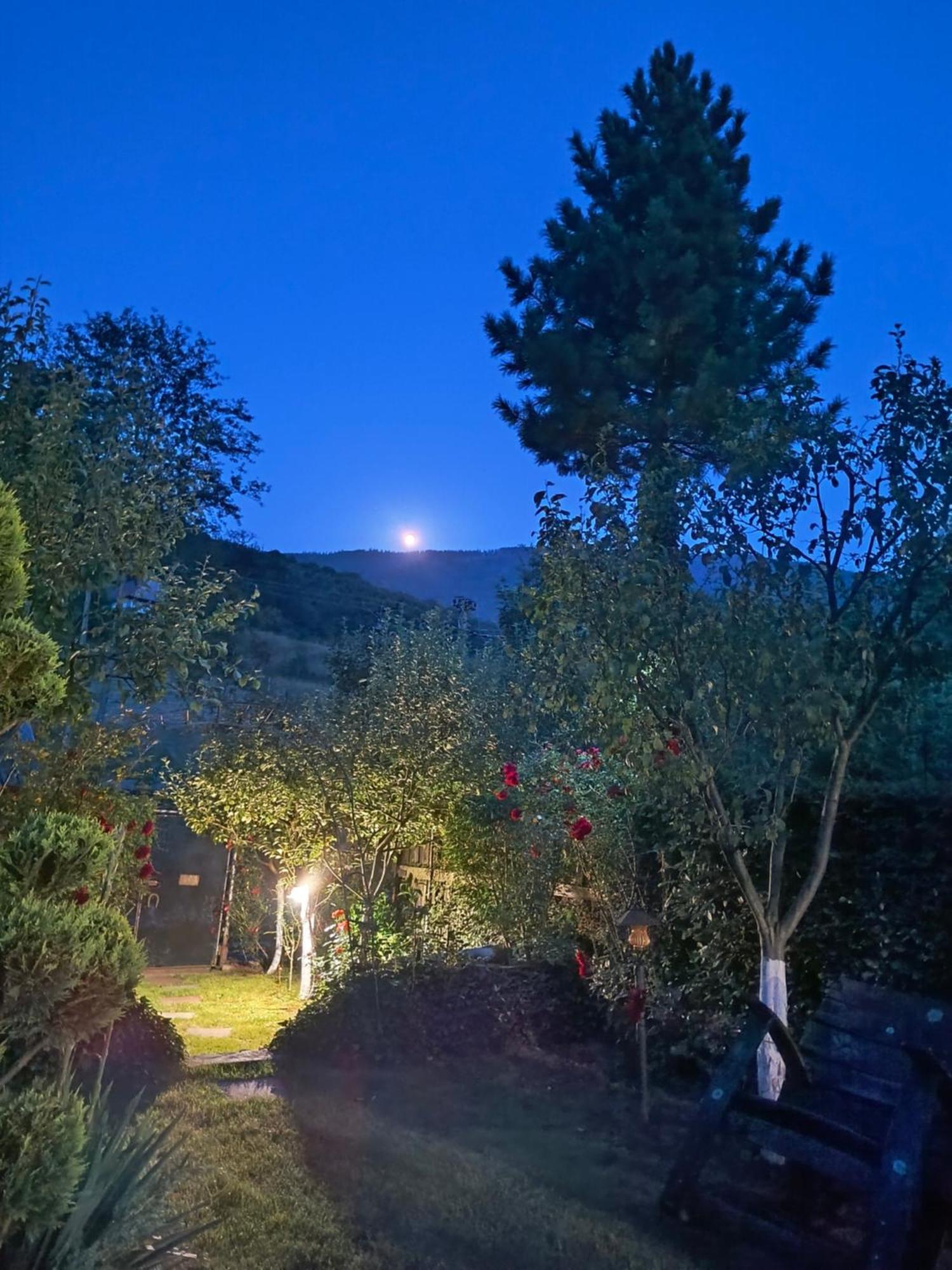 Casa De Vacanta Vidrighin Rau Sadului Экстерьер фото