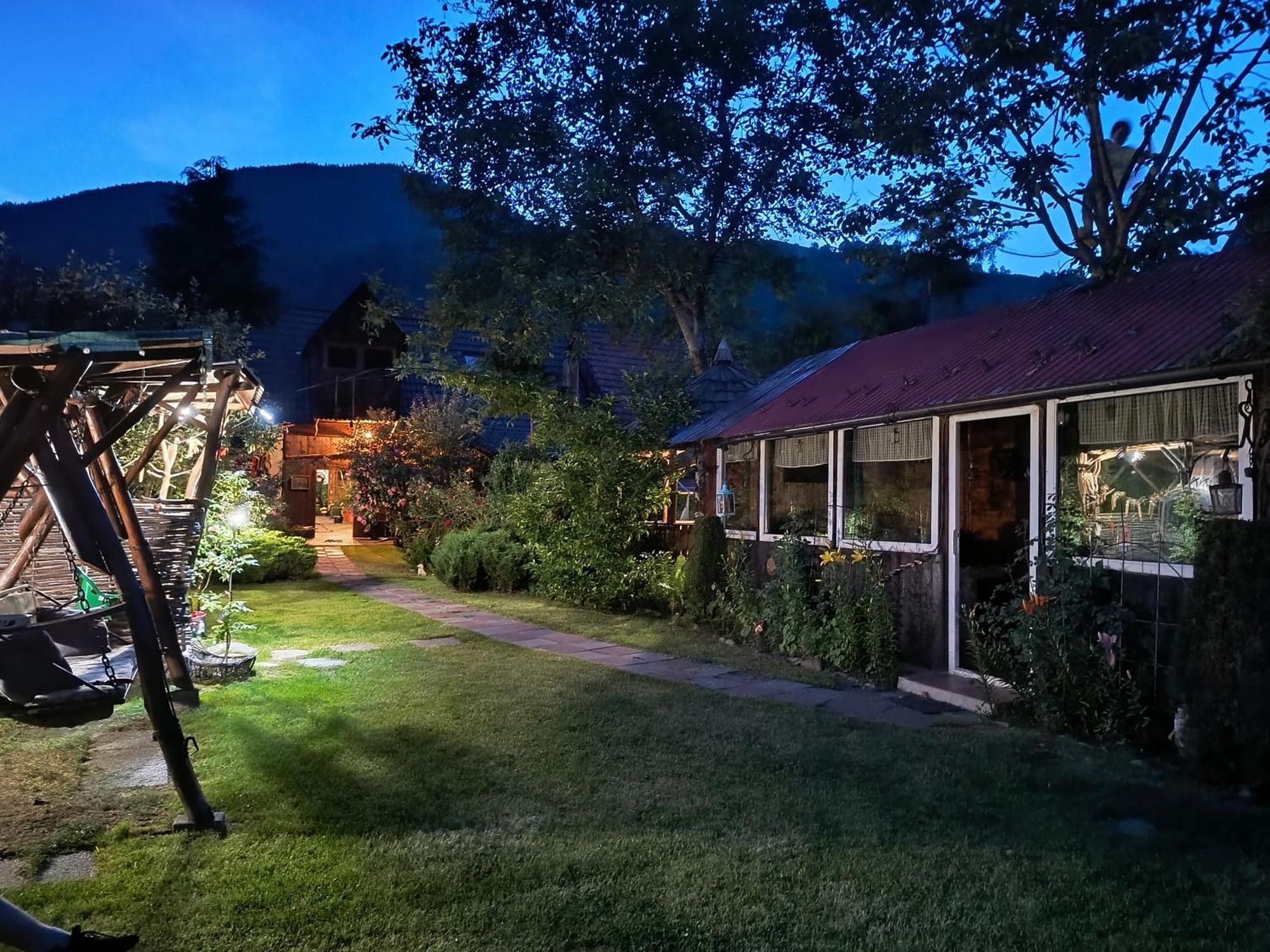 Casa De Vacanta Vidrighin Rau Sadului Экстерьер фото