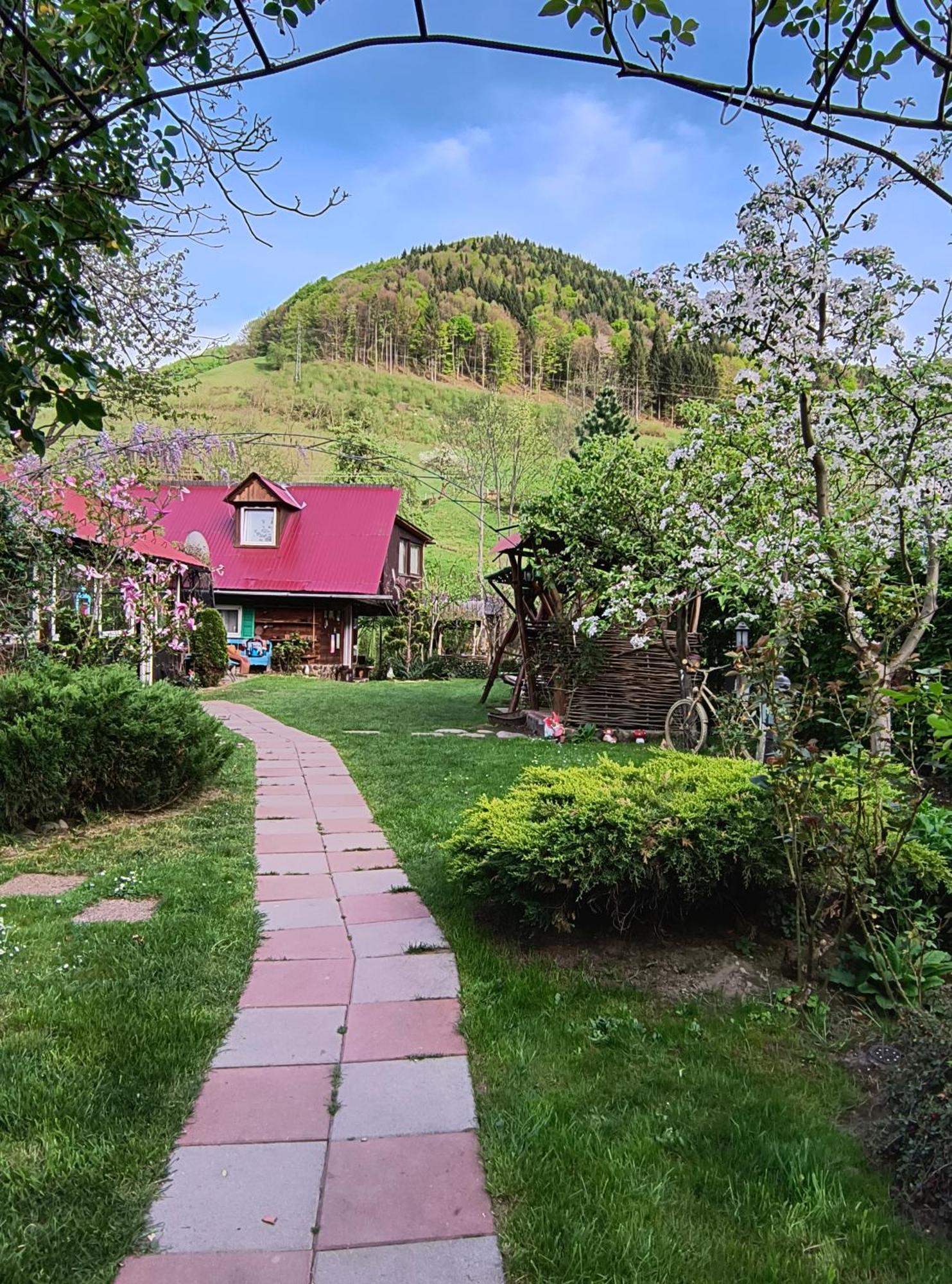 Casa De Vacanta Vidrighin Rau Sadului Экстерьер фото