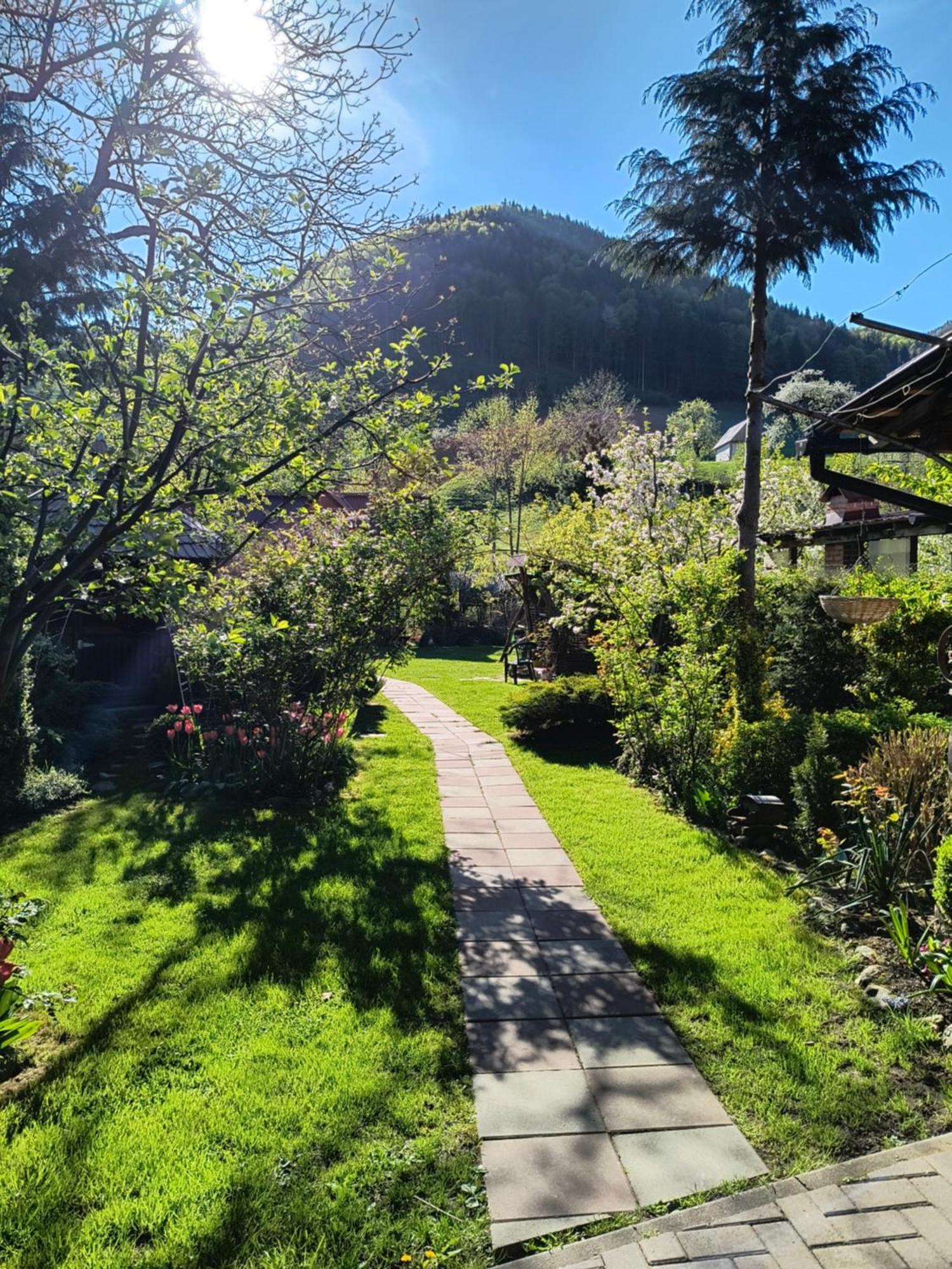 Casa De Vacanta Vidrighin Rau Sadului Экстерьер фото